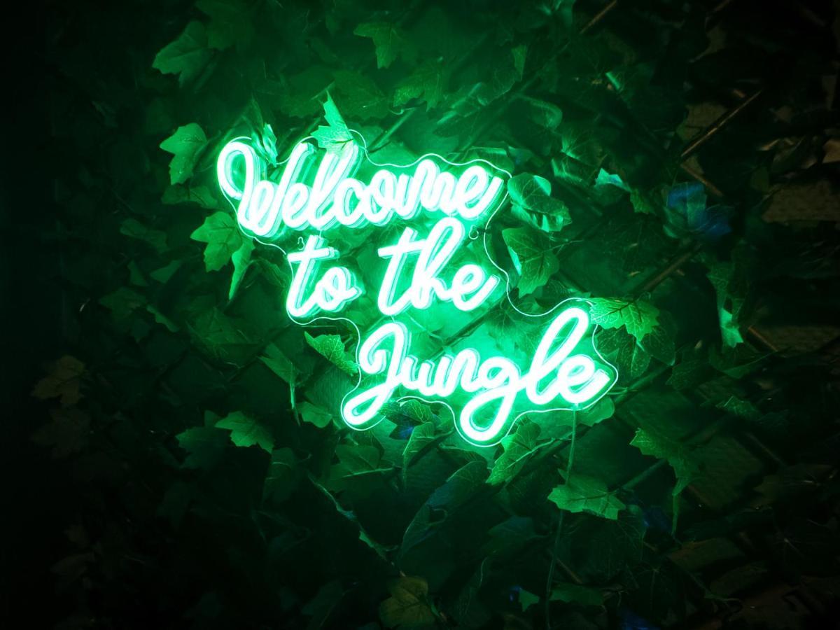 Jungle Urbain- Sauna - Cine - Hamac - Hyper Centre อาเมียงส์ ภายนอก รูปภาพ